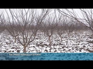 ��������� ������ ��������� ����� �� ��������� � � ������������� ������ ������� ���� ������� ������ ����� � ����