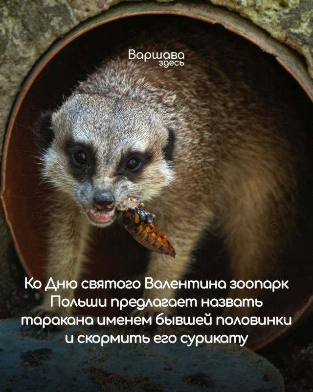 ���������� ������� � ������ �������� ������������ ����� �� ��� ���� ���������: �������� ����� ����������� ��������������� ��������, ���� ��� ��� ������� �������� � �������� ��������� ���������