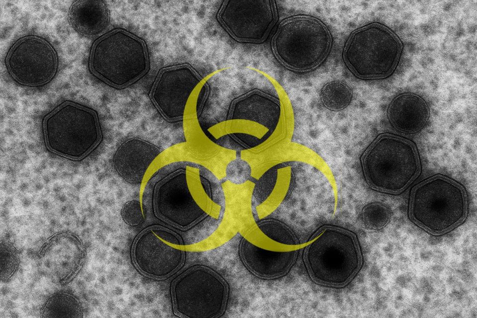 � ������� ������� ����� ���� ����������� ���� ������ � � ���� ������� ������������ ������