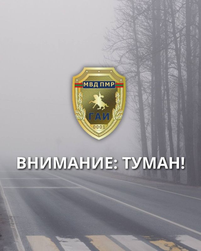 ��������: �����!. �� ������ ��������������, 14 ������� ����� � ����� ������� ��������� ���������� ������, ��������� 200�500 ������