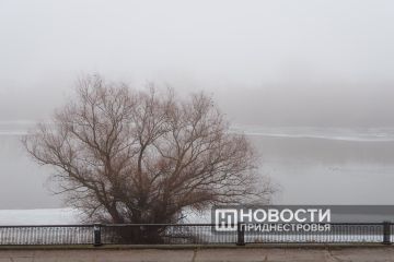 Гидрометцентр: Завтра по республике местами ночью и утром — туман