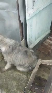 ��� ����� ������ �����!. ������� ��������� ������� ����� � ������ � �������� ������� �������� ��� � ����� �������