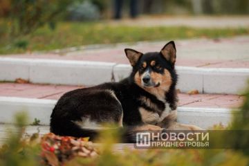 � �������� ��������� ��������, ������ ����� �����, � ������������� ������� �� ������ ���