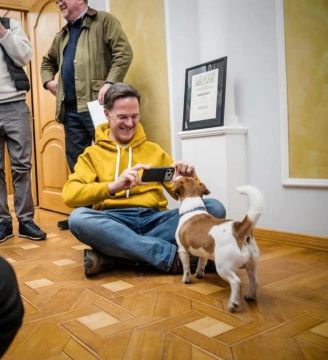 Я посмотрел псу Патрону в глаза, и он сказал мне, что мы никогда не сдадимся — генеральный секретарь НАТО Рютте