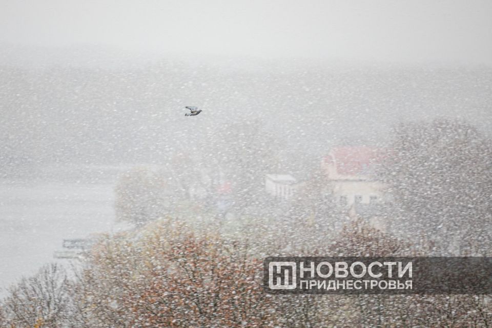 Гидрометцентр прогнозирует ухудшение погоды в Приднестровье