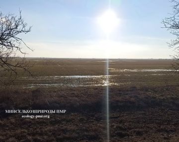 � ������� �������� � ������� ���������� � �������������