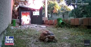 � ��� �������� ������� ��������� ��������: