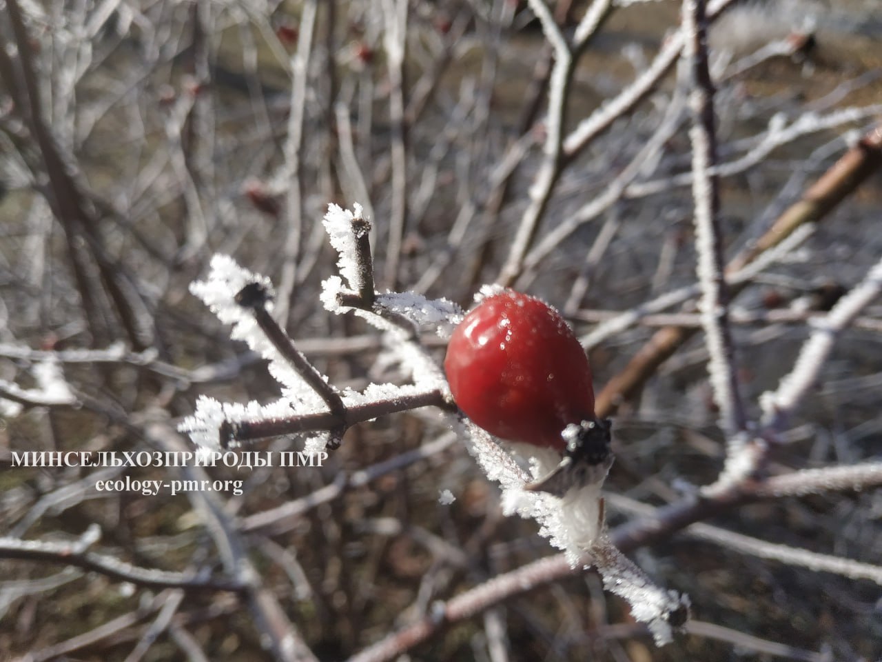 Доброго утра!. Прогноз погоды на сегодня, 16 февраля