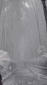 ��������� ������ �� ������ ����������� � ��������