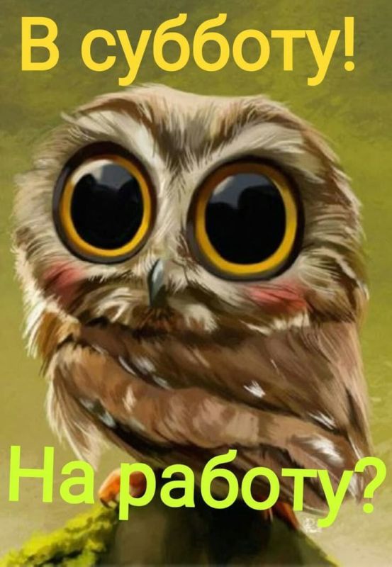 �� ���� ������ ������� ���������� ����� ����: �������, 21 �������, ����� ������� � � ������������ �� ��������� ��������