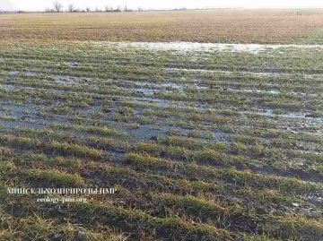 ���������� �������������: ������� �� ��������� ���� ��������� ������ ��������� ������ ������� ������ � �������� �������