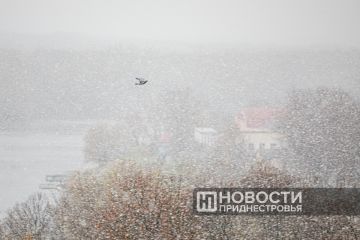 ������������� ������������ ��������� ������ � �������������