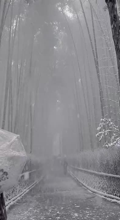 ��������� ������ �� ������ ����������� � ��������