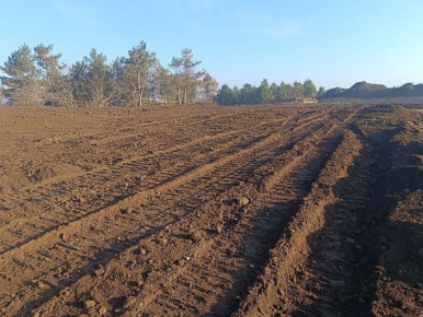 В прошлом году восстановлено более 29 га земли, где добывали песок, глину и другие материалы, чтобы снова использовать её для сельского хозяйства: