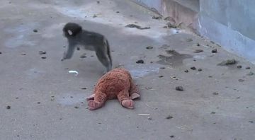 �������� ������� ������ �� ������ �������� ������