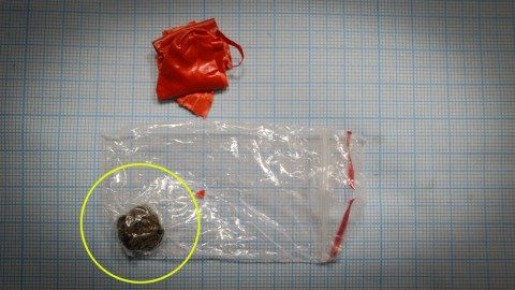 Оперативники ГТК задержали получателя закладки с гашишем в ходе проведения оперативно-розыскных мероприятий вблизи молдо-приднестровской границы