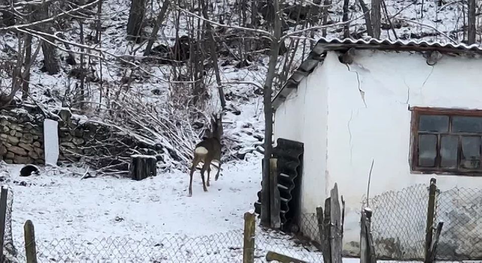 ���� ������ ����� � ����� � ��������� ������ ������ ����� ���� �������� � ��������