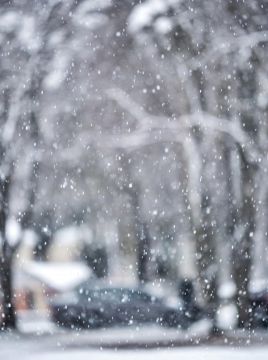 �� ������������� ����������� ��������