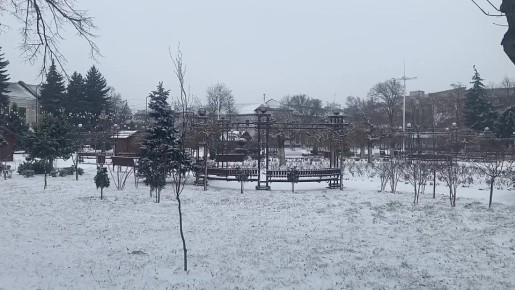 Обещанный снег. По прогнозу будет кружить целый день, чередуясь с дождем