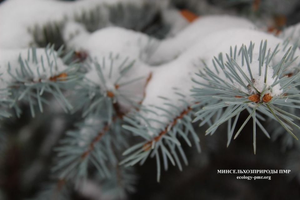 ������� ����!. ������� ������ �� �������, 18 �������