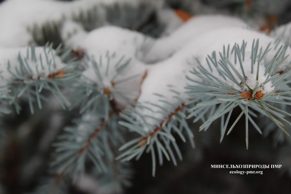 Доброго утра!. Прогноз погоды на сегодня, 18 февраля