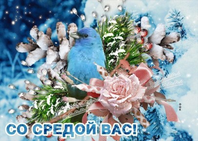 Середина февраля — время, когда зима уже порядком надоела, а весна еще застенчиво прячется за горизонтом