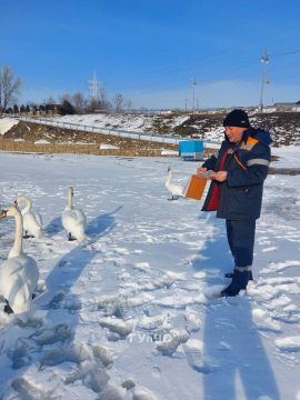 � ������ �������� ������� �� ��������� ������������� ����� � ������ ������� ������������ ���