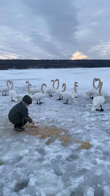 �� ������������ ������������� ���������� ������