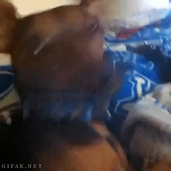 ��������� ������ ������, ����������, ��� ������� �� ���� ������ �������