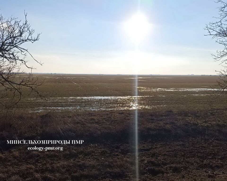 �����������������: ������ � ����������� ���������� � �������