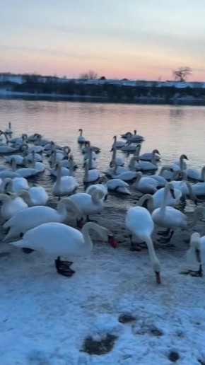 ��������� ������� �� ��������� ����� � ����������