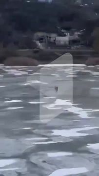 ������� ������� ��������� � ������� ������ ����������� ����� �� ���� � ����� �������� ����������