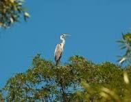 � ������������� �������� ���������������� ����������