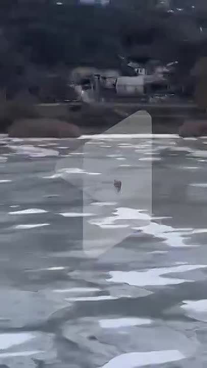 ������� ������� ��������� � ������� ������ ����������� ����� �� ���� � ����� �������� ����������