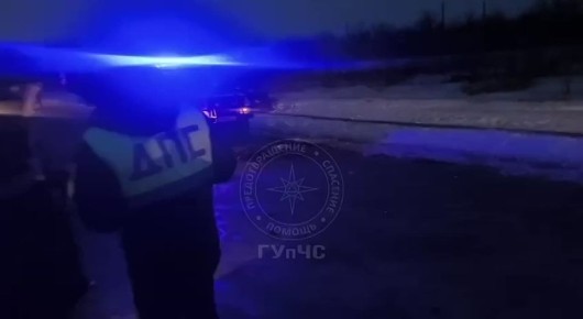 Столичные спасатели помогли пострадавшему водителю