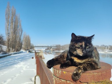 23 февраля ожидается облачная с прояснениями погода, днем местами слабый дождь, слабый гололед