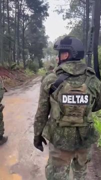 Для понимания, что из себя представляют боевики картеля "Халиско"