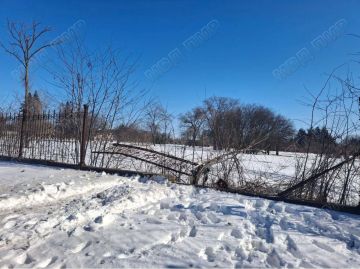 Снёс забор Дендрария и пытался сбежать от милиции: пьяное ДТП в Тирасполе