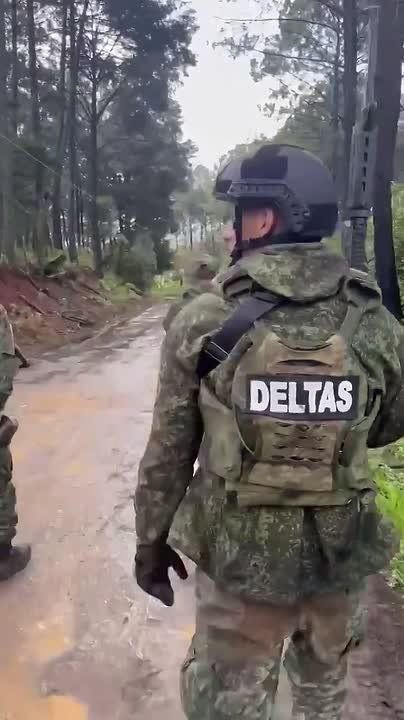 ��� ���������, ��� �� ���� ������������ ������� ������� "�������"