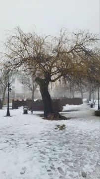 Туманный Тирасполь.. Туман с видимостью 200–500 метров сохранится всю первую половину дня, предупреждают в Гидрометцентре