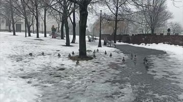 �� ��������������� ����� ������ ����� ����