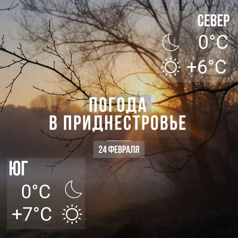 Утром местами туман. Днём – до +7°С