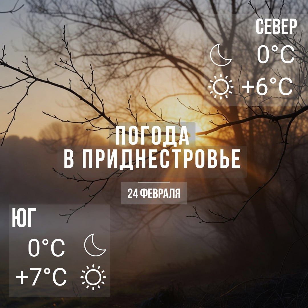 Утром местами туман. Днём – до +7°С