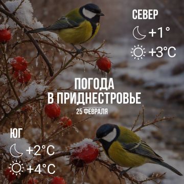 Днём – до +4. Облачно, с прояснениями