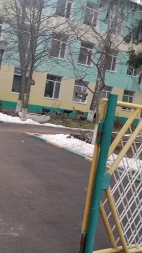 ���� �������� ����� ����������� ��� ������ ����� � ����������, ����� ����� ��������� � ��������