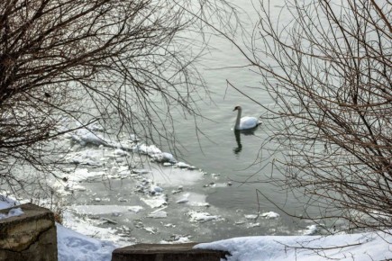 ��������� ����� ����. �� ����� � ��������� ���: ������� ���� � ������, � �� ���� ����� �������� ������ � ������ ���������, �� �� ������ � � �������