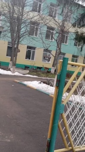 В Дубоссарах на территории школы заметили свору бездомных собак