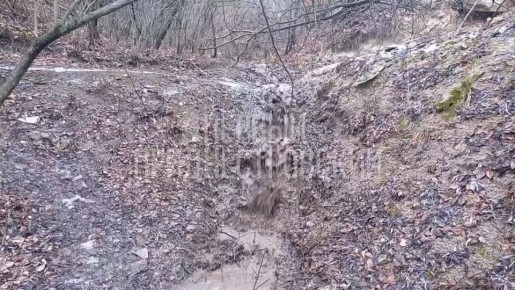 Из-за таяния снега на полях в рыбницкой Шмалене появились вот такие «водопады»