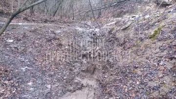 Из-за таяния снега на полях в рыбницкой Шмалене появились вот такие «водопады»