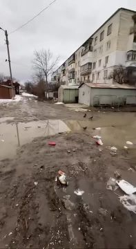 ������ ������ �������� ������� ���� ����